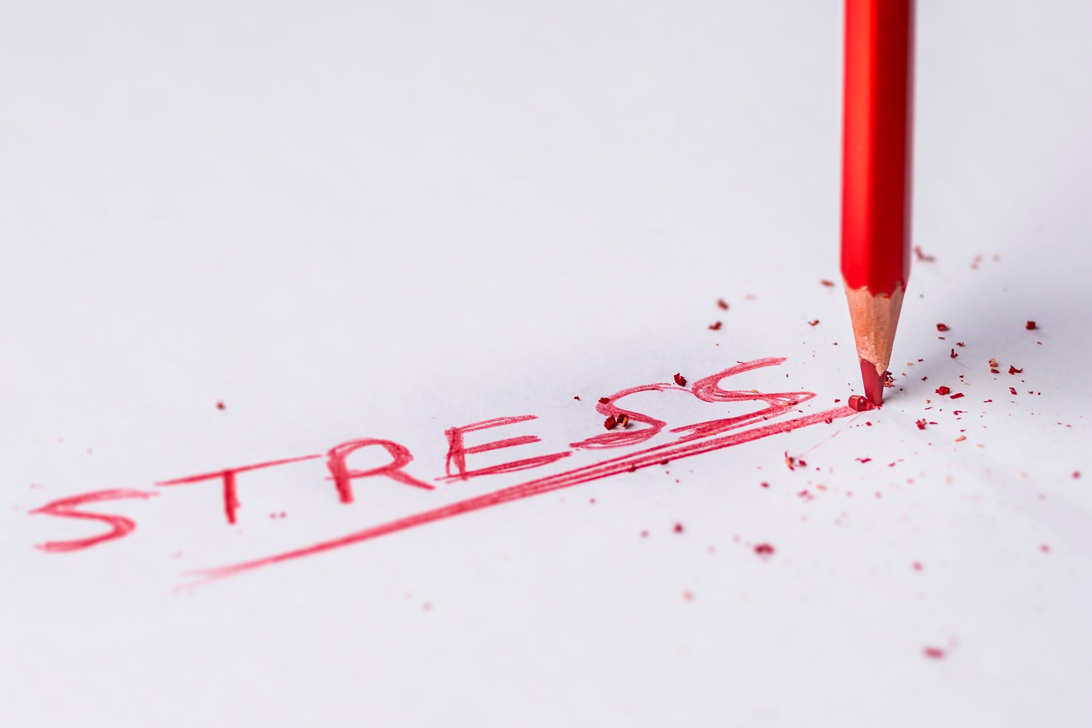 Syllables And Stress Patterns In English Word Stress Sentence StressMy English Language