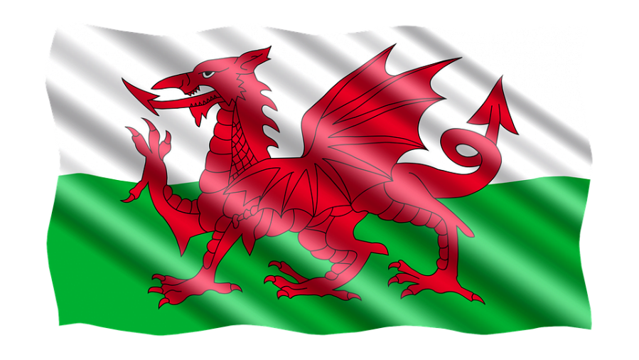 St David’s Day EFL Lesson – Exploring Welsh Culture